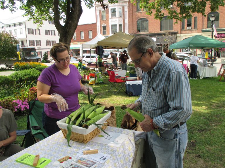 Saratoga Bridges ‘Ballston Greens’ volunteering at the Ballston Spa