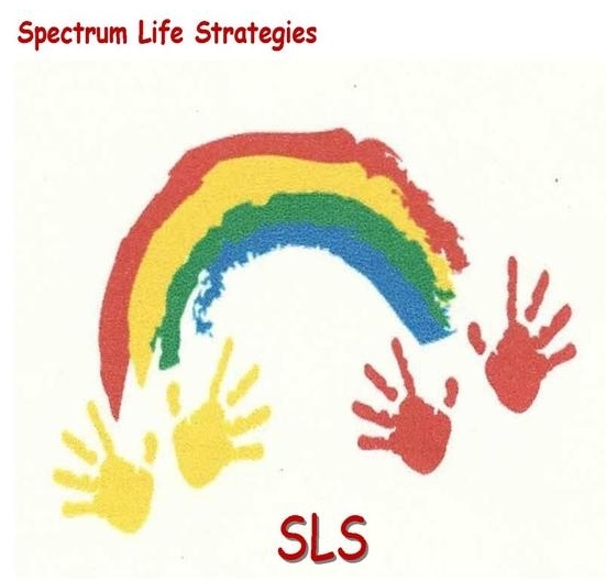 Spectrum Life Strategies Fall 14